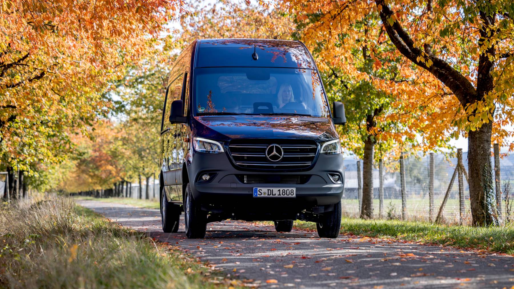 Mercedes-Benz Marco Polo 4x4 — przód, jazda aleją wśród jesiennych liści
